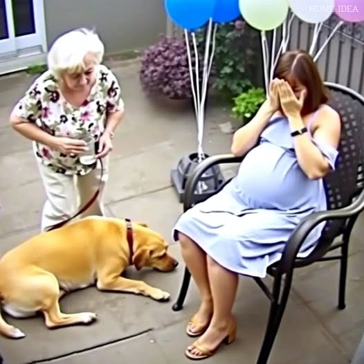 At my daughter’s baby shower, my in-law proudly prepared her a special “family recipe” milk